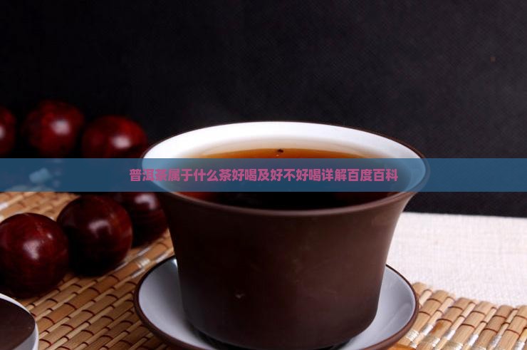 普洱茶属于什么茶好
