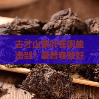 古才山茶叶哪里买