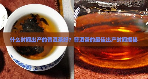什么时间出产的普洱茶好