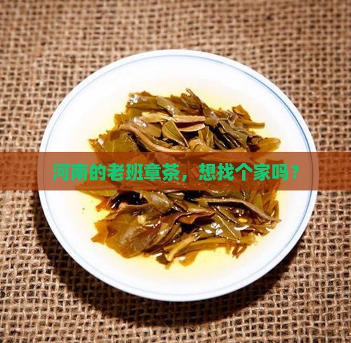 河南老班章品牌加盟代理