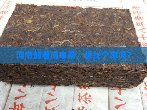 河南老班章品牌加盟代理