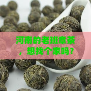 河南老班章品牌加盟代理