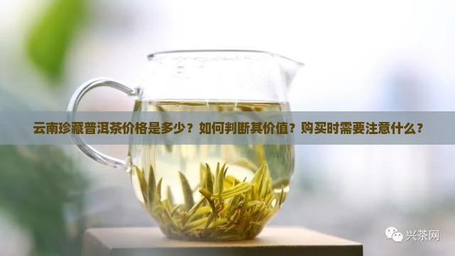 云南珍藏普洱茶价格
