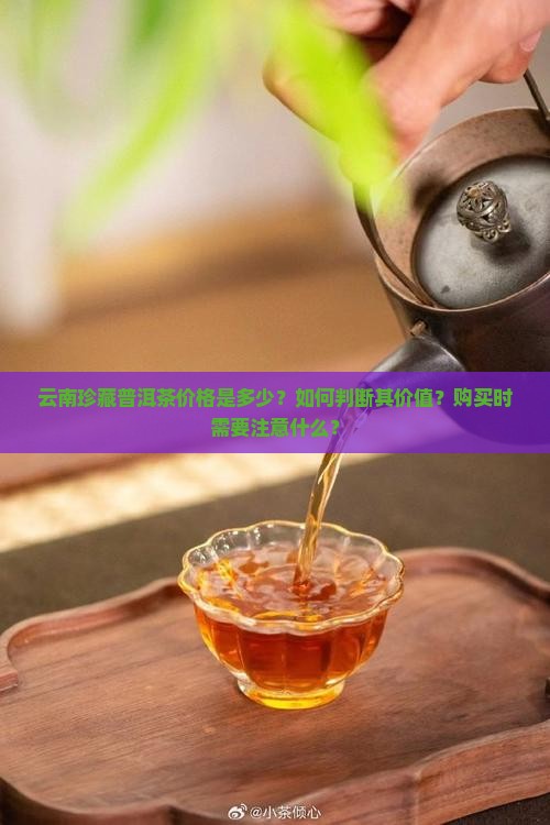 云南珍藏普洱茶价格