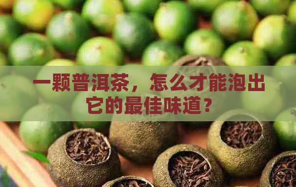 一颗普洱茶怎么泡好喝一点