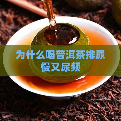 为什么喝普洱茶排尿慢