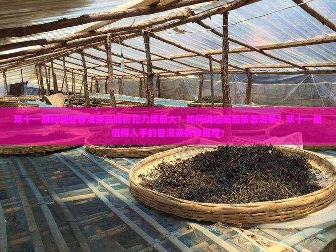 双十一最值得买的普洱茶