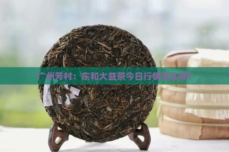 广州芳村东和大益茶当日行情