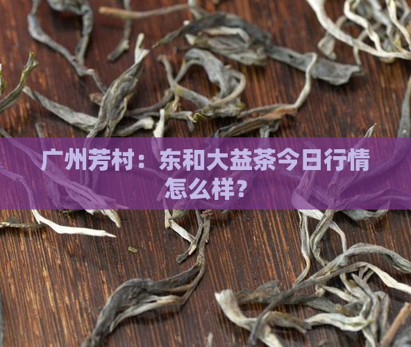 广州芳村东和大益茶当日行情
