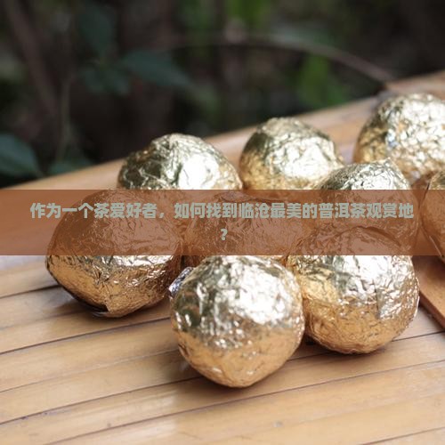 到临沧去哪里看普洱茶