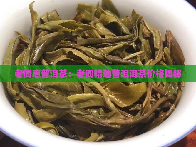 滕州老同志普洱茶