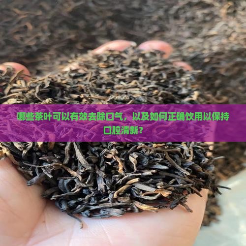 什么茶能去口气