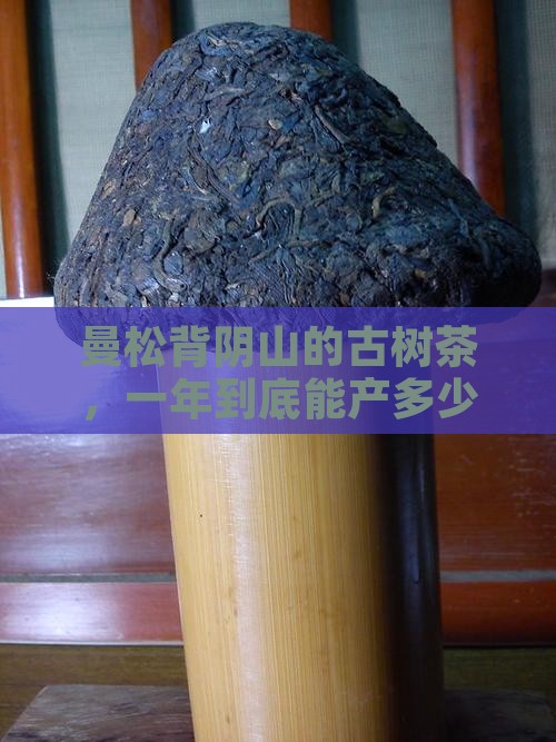 曼松背阴山古树茶年产量