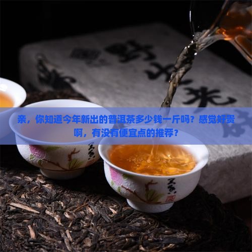 普洱茶新茶多少钱一斤啊