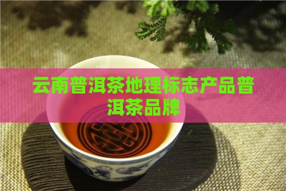 云南a级普洱茶