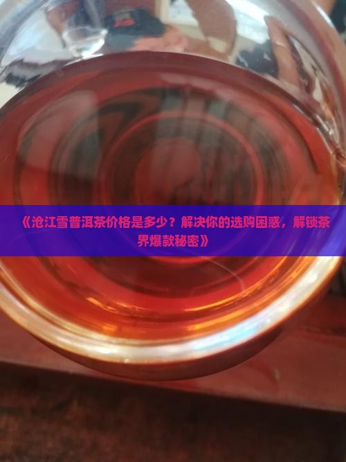 沧江雪普洱茶价格
