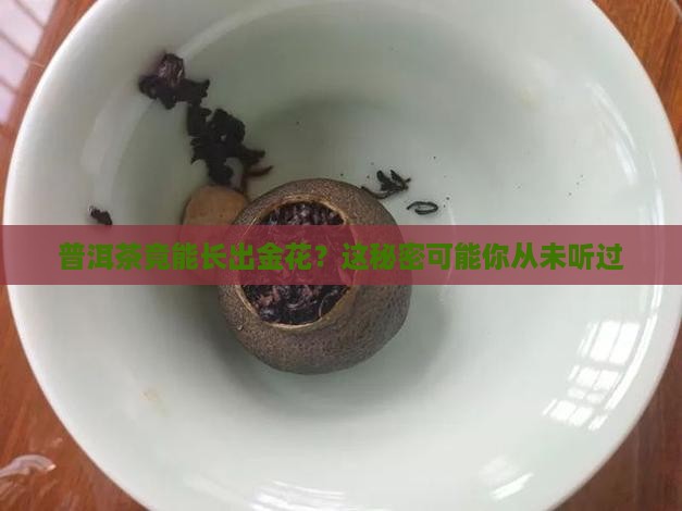 普洱茶长金花的做法