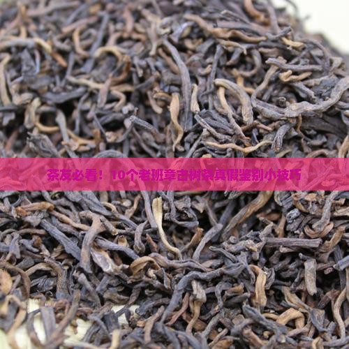 极品古树茶老班章