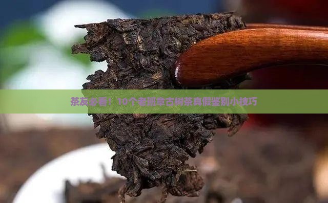 极品古树茶老班章