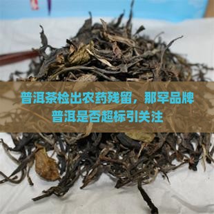 那罕普洱茶是不是农药超标