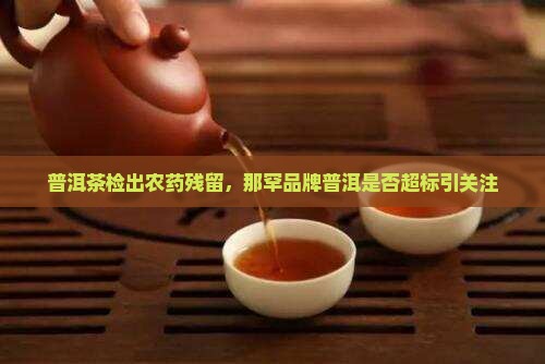 那罕普洱茶是不是农药超标