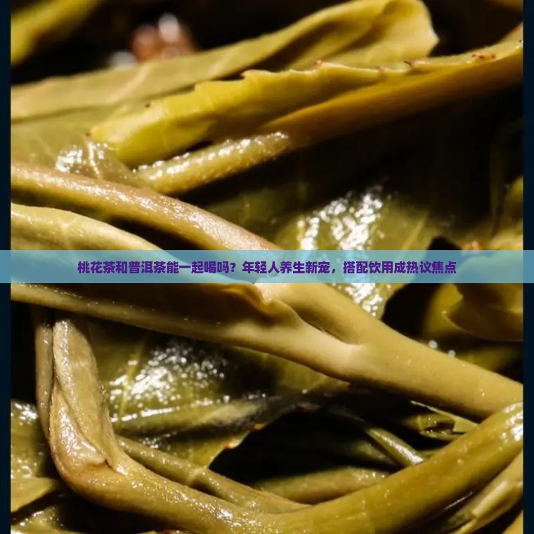桃花茶和普洱茶能一起喝吗