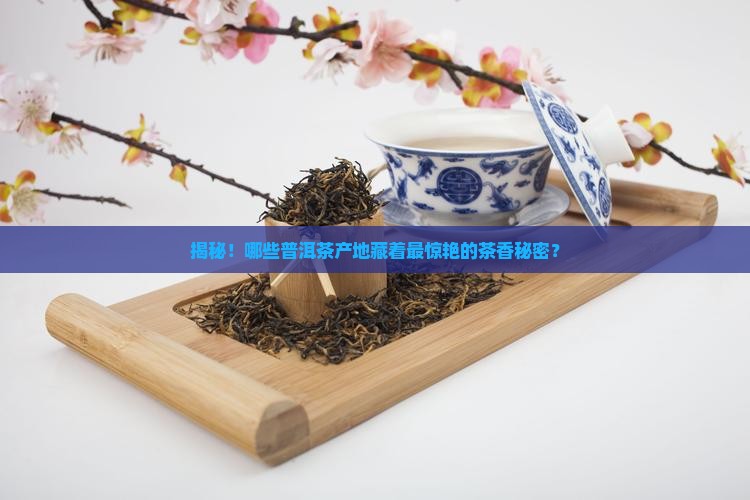 普洱茶产地排名及编号