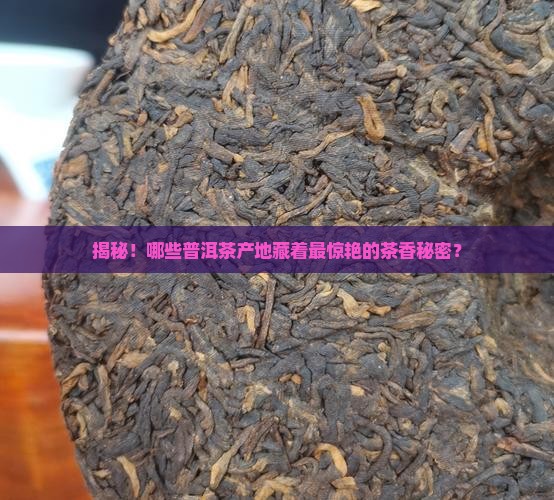 普洱茶产地排名及编号