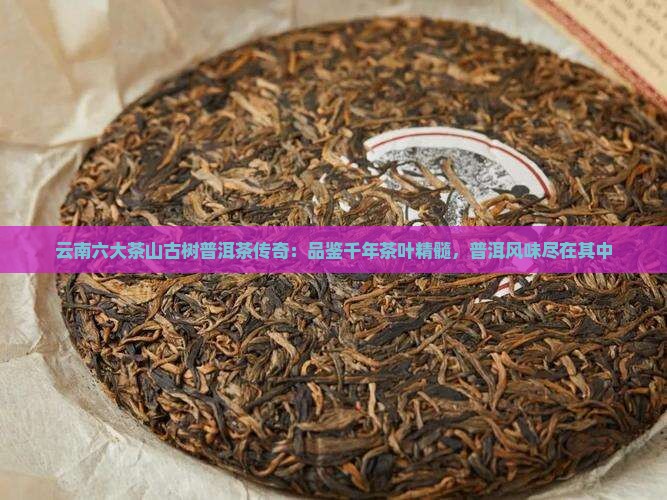 六大茶山古树普洱茶 六大茶山古树普洱茶