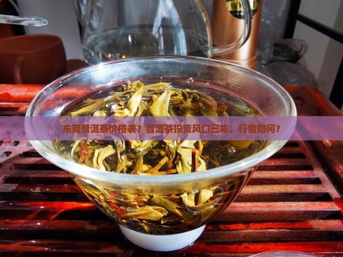 东莞普洱茶价格表