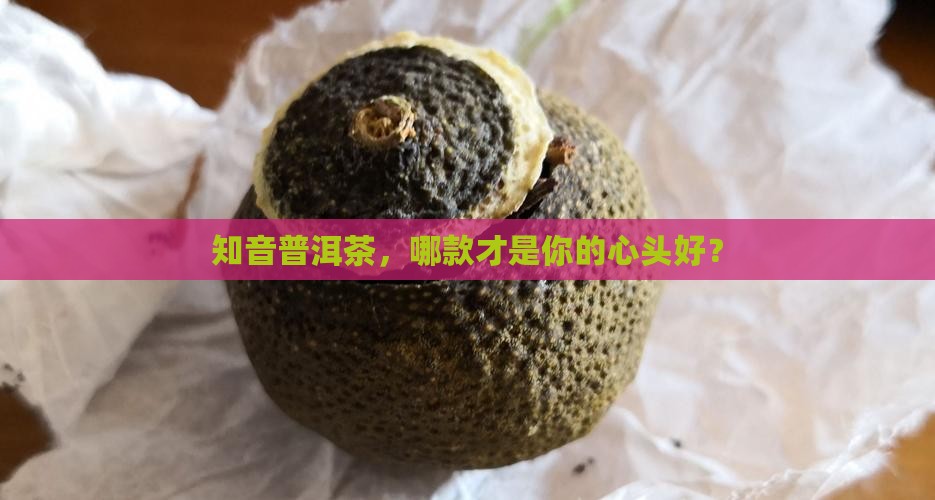知音普洱茶价格查询表
