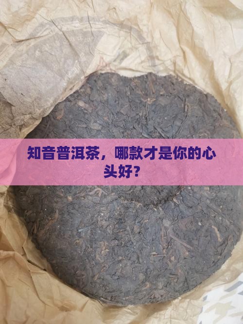 知音普洱茶价格查询表