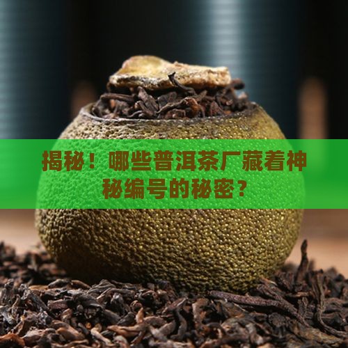 普洱茶有哪些茶厂有编号
