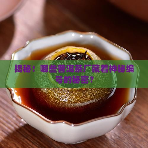 普洱茶有哪些茶厂有编号