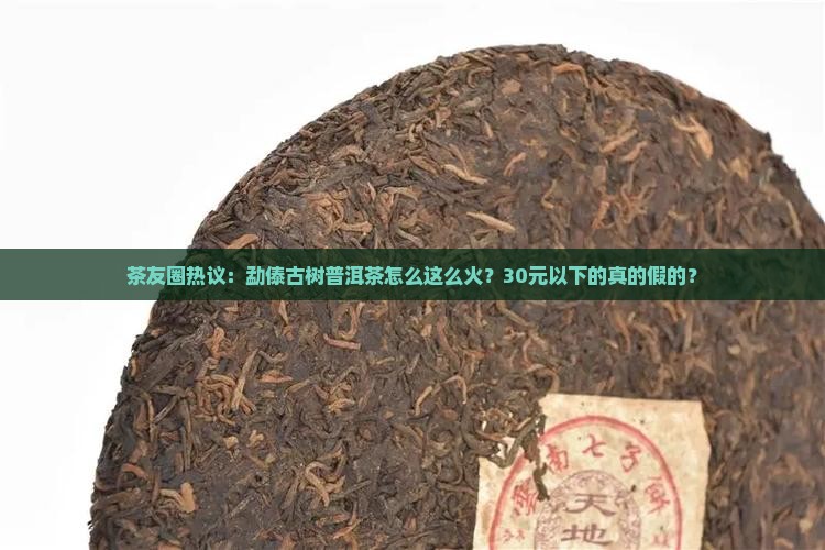 勐傣古树普洱茶价格 勐傣古树普洱茶价格