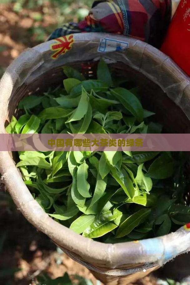什么茶属于绿茶系列
