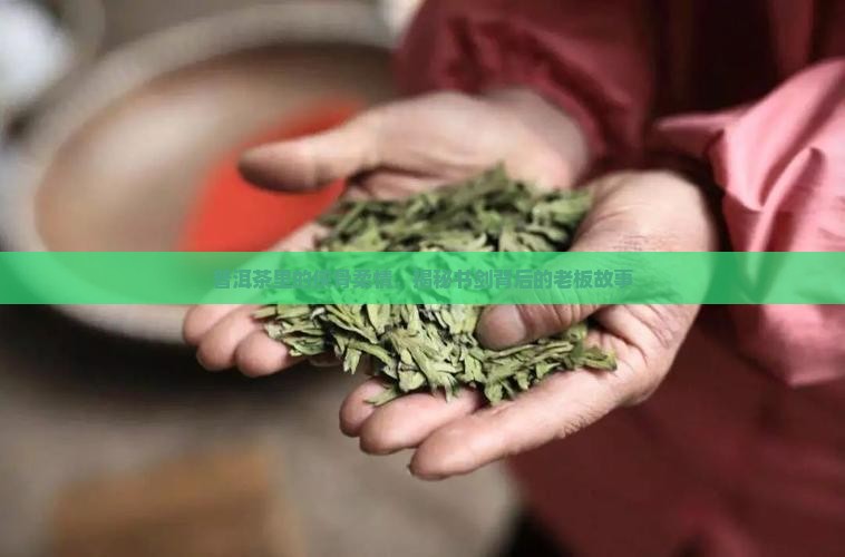 书剑普洱茶的老板