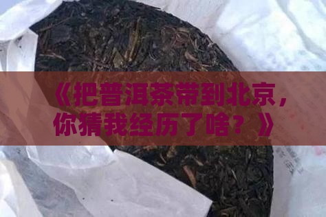 把普洱茶带到北京