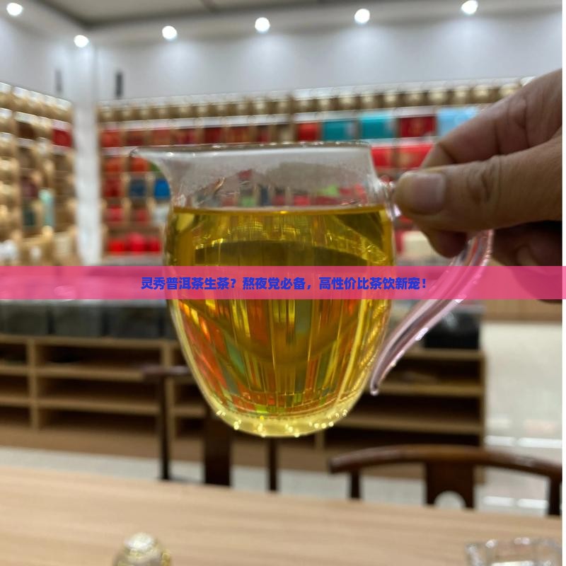 灵秀普洱茶生茶