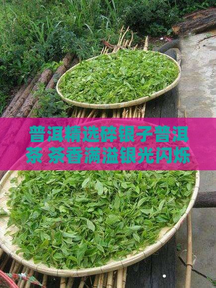 袋装普洱茶碎银子