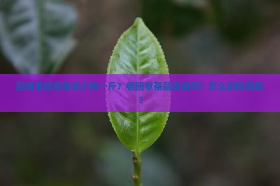 勐海老班章茶多少钱一斤