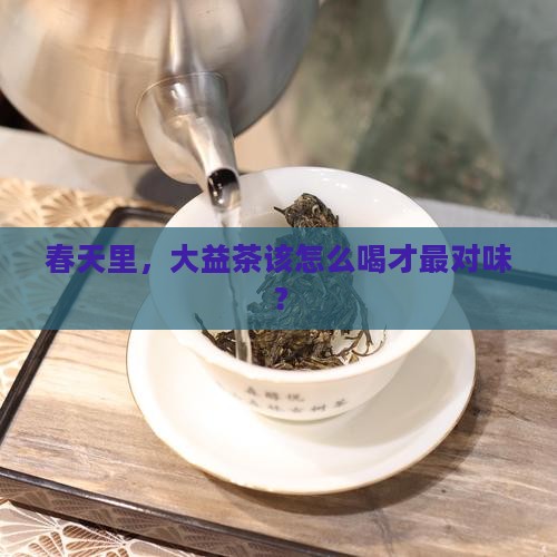 大益茶适合什么季节喝
