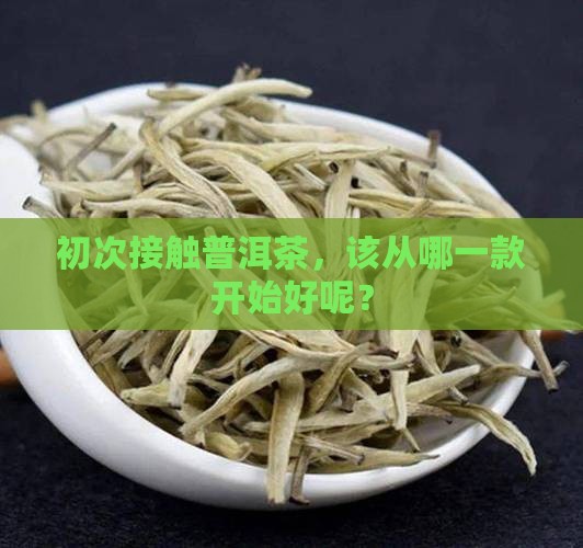 刚开始喝什么普洱茶
