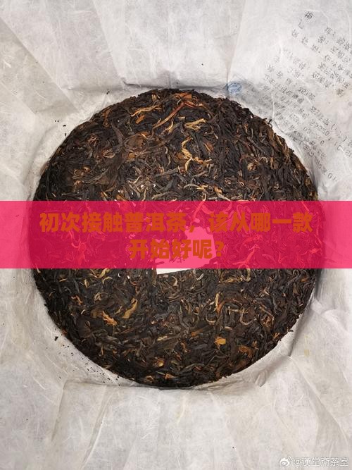 刚开始喝什么普洱茶