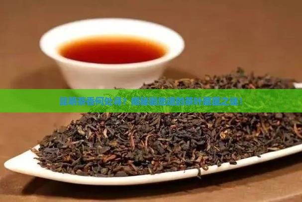 昆明哪里的茶叶最正宗