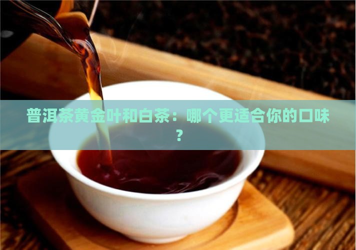普洱茶黄金叶和白茶