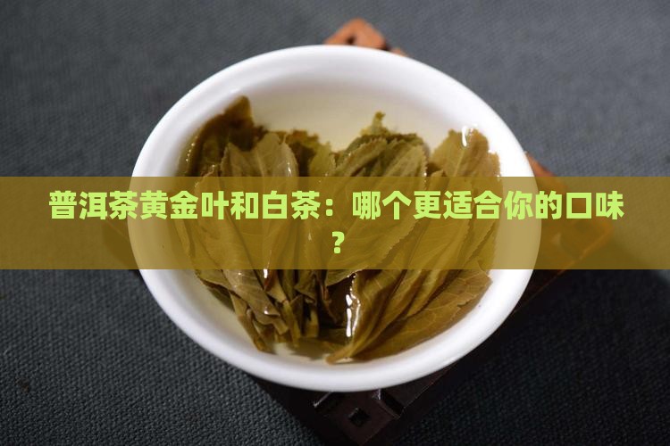 普洱茶黄金叶和白茶