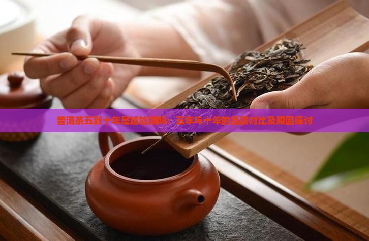 普洱茶五到十年是尴尬期吗