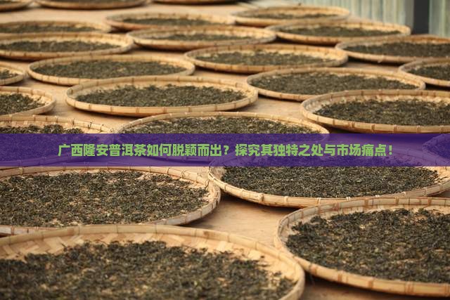 广西隆安普洱茶