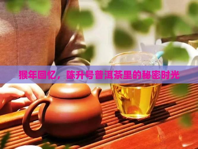 陈升号猴年熟普洱茶